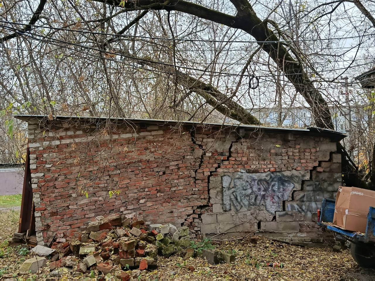 Угроза во дворе на Московской, 61 в Малоярославце : Аварийные деревья и открытая теплотрасса