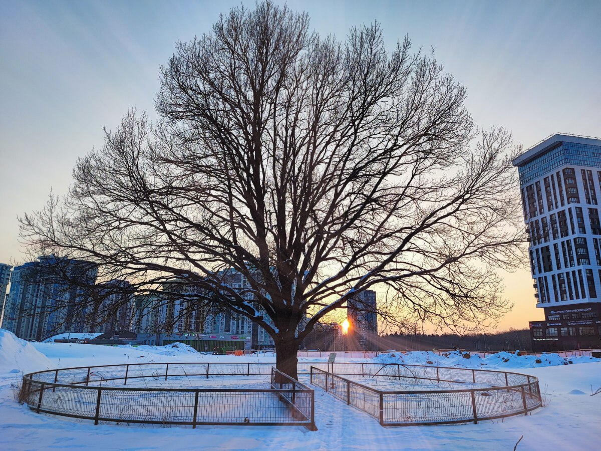 В Обнинске планируют провести выставку на площади у Дома ученых, рядом с дубом. Традиционный арт-...