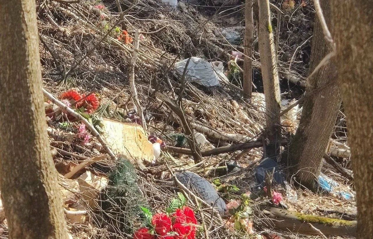 В Боровске местные жители обратились к властям с просьбой о благоустройстве Текиженского кладбища...