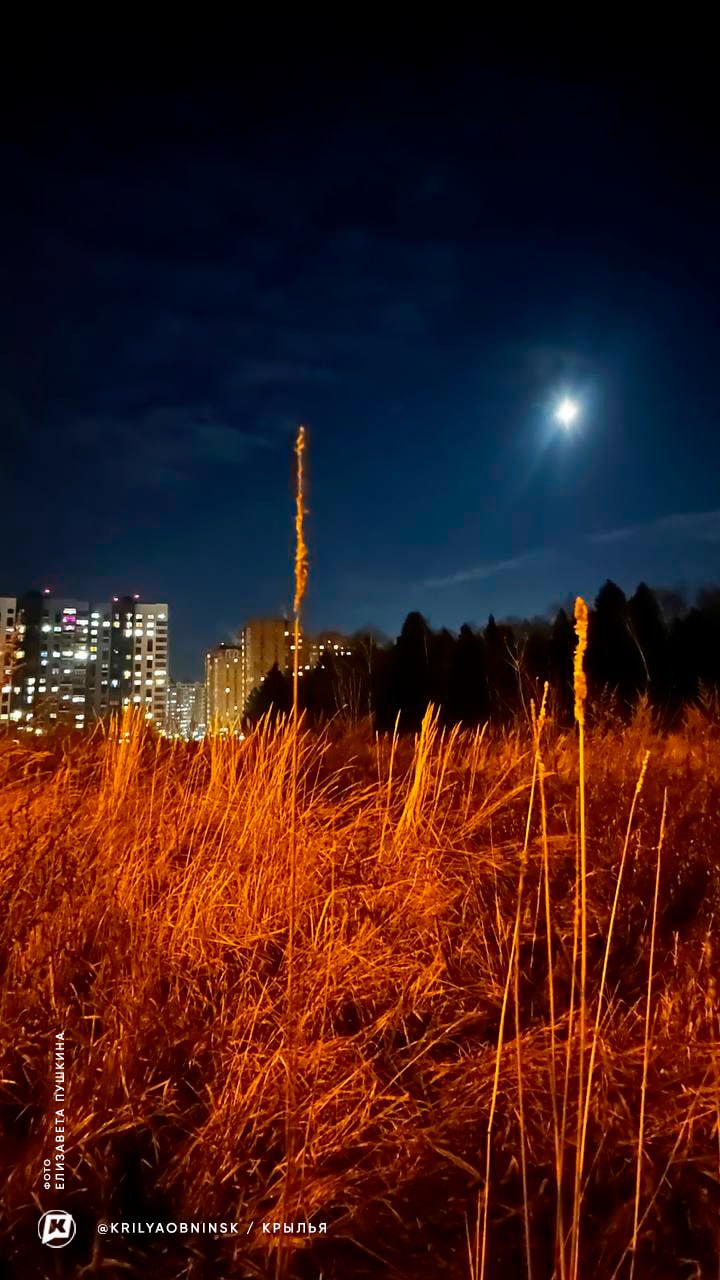 ? Доброй ночи, любимый город!


#обнинск_live